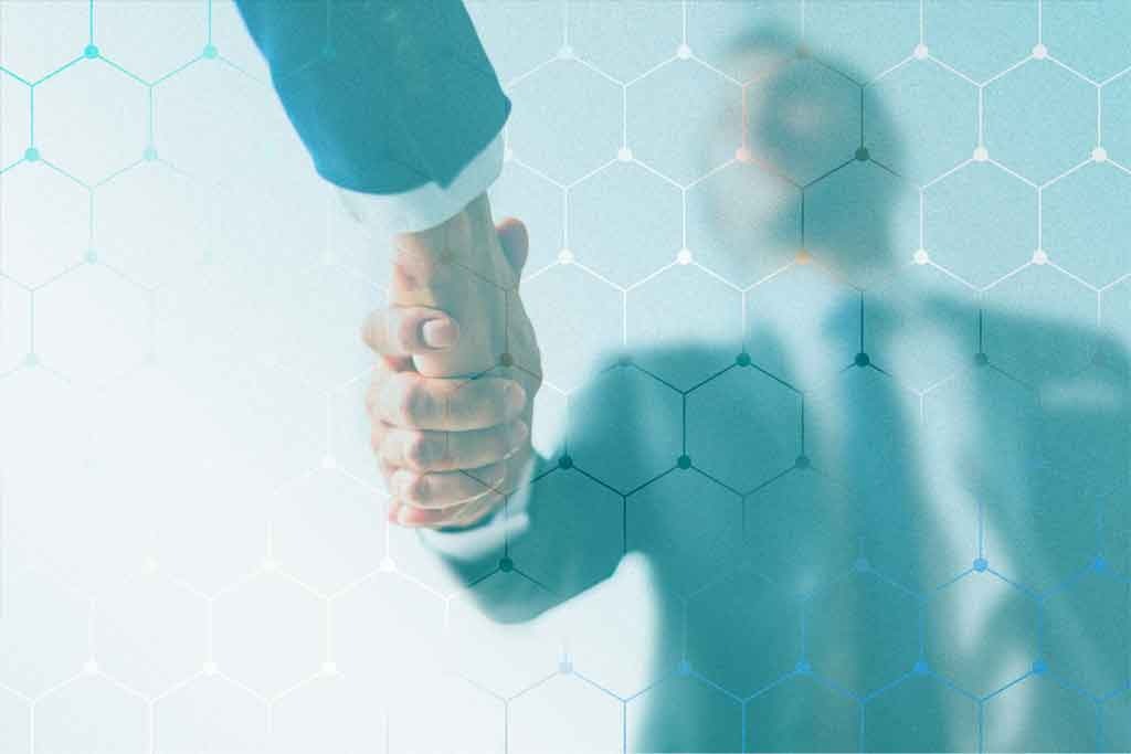 Partnership & Platform